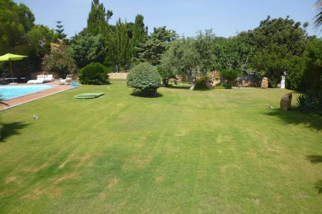 Villa Stefania 卡斯特尔萨多 外观 照片